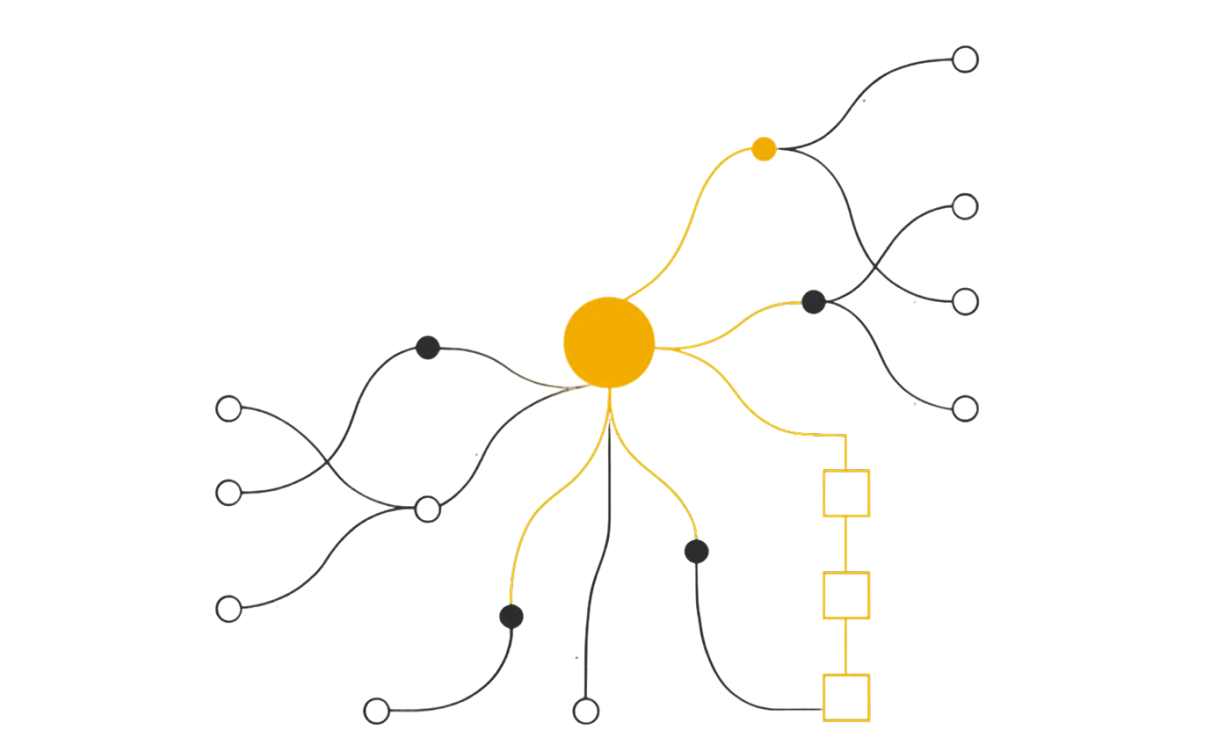 Market & User Research